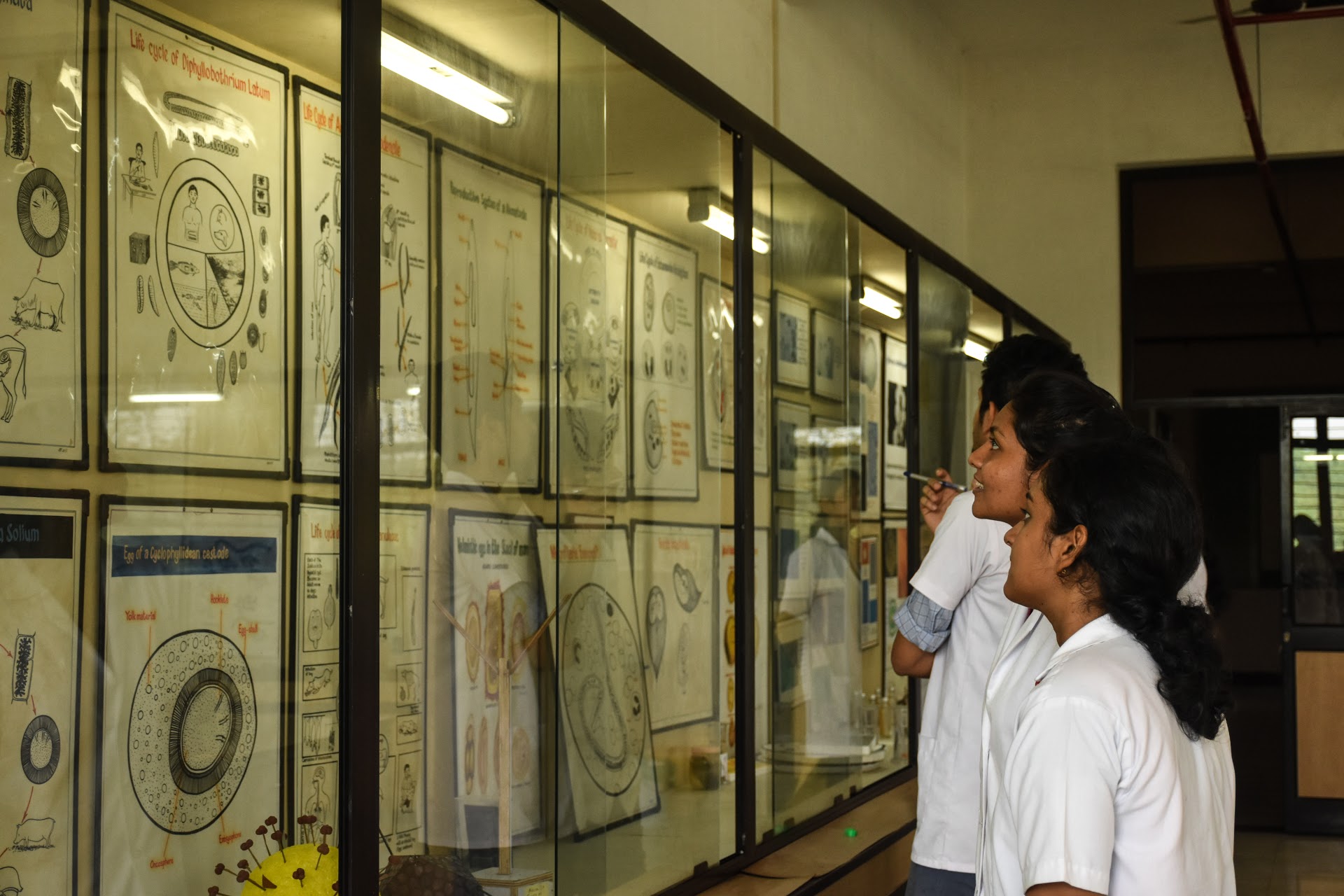 MICROBIOLOGY - SGMC